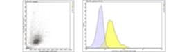 BIG2 Mouse anti-Human, Clone: 56, MilliporeSigma 100 &mu;g;Unconjugated:Antibodies,